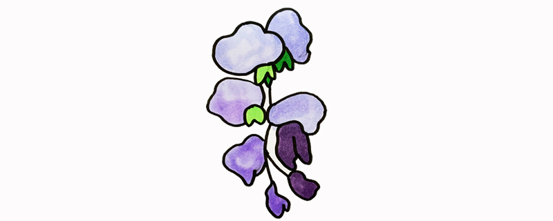 紫藤花怎么画