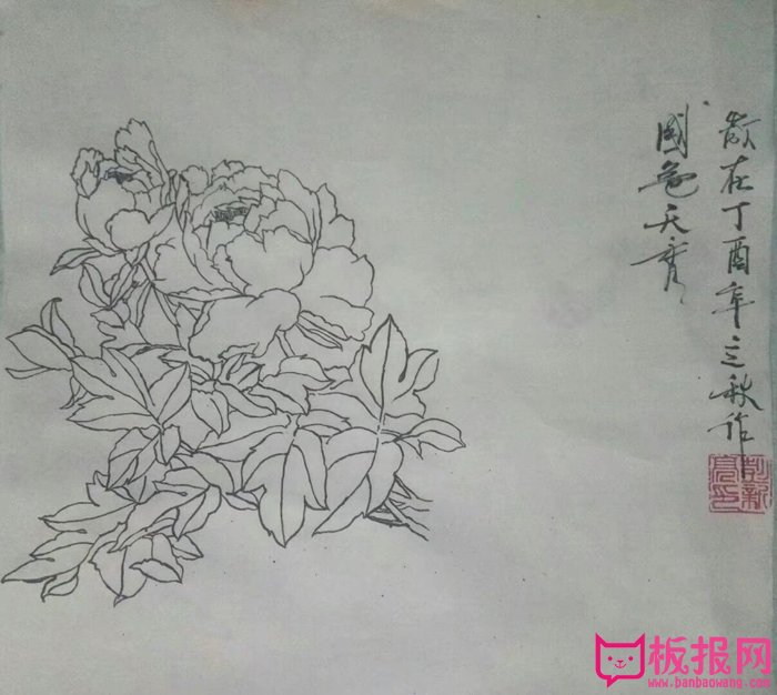 漂亮的牡丹简笔画,国色天香