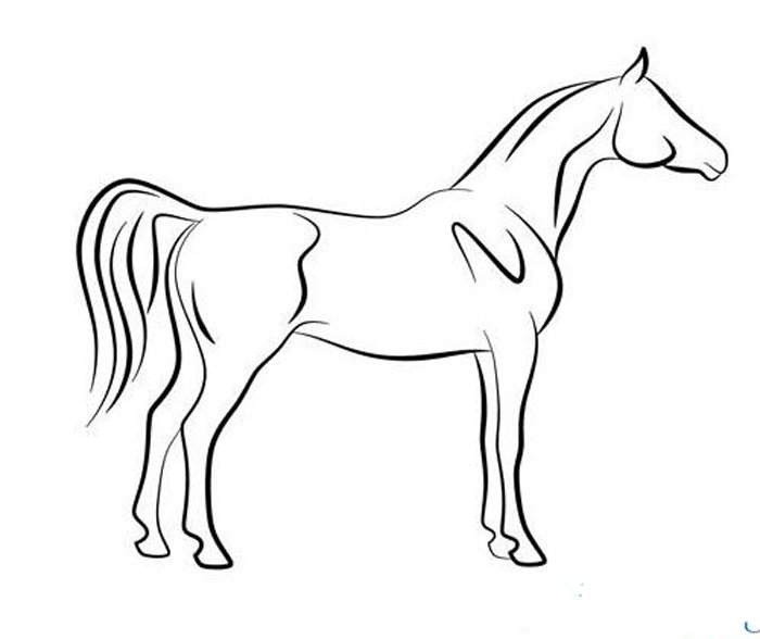 Ӽʻ